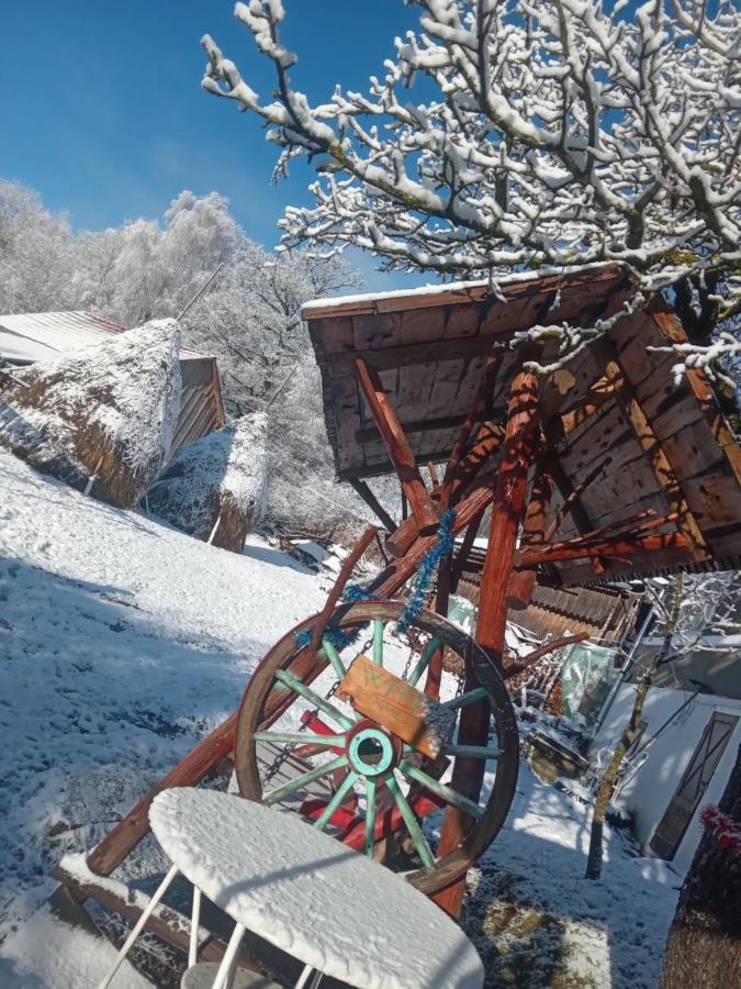 Retreat Sejour On Farmhouse ,Rosia Montana, Acces Optional Hottube Hotel Bagian luar foto