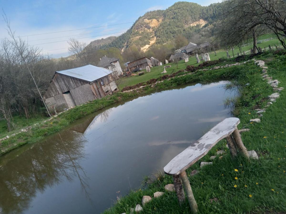 Retreat Sejour On Farmhouse ,Rosia Montana, Acces Optional Hottube Hotel Bagian luar foto